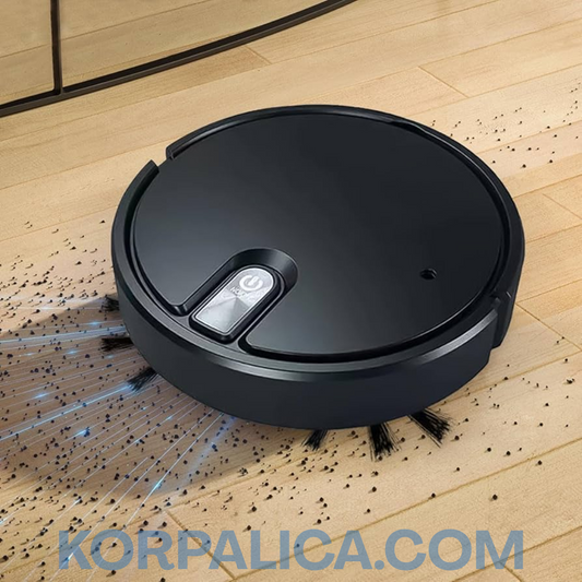 Robot Usisivač - Sweeping robot